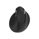 Mouse Delux M618Mini RGB Wireless-BT-Recargable 1000MA Vertical Ergonomico