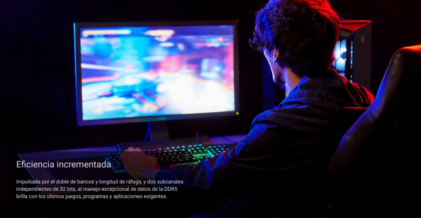 Memoria Ram Kingston 16Gb DDR5 FURY Beast 5600MT/s CL40 - 1.25 XMP KF556C40BB-16