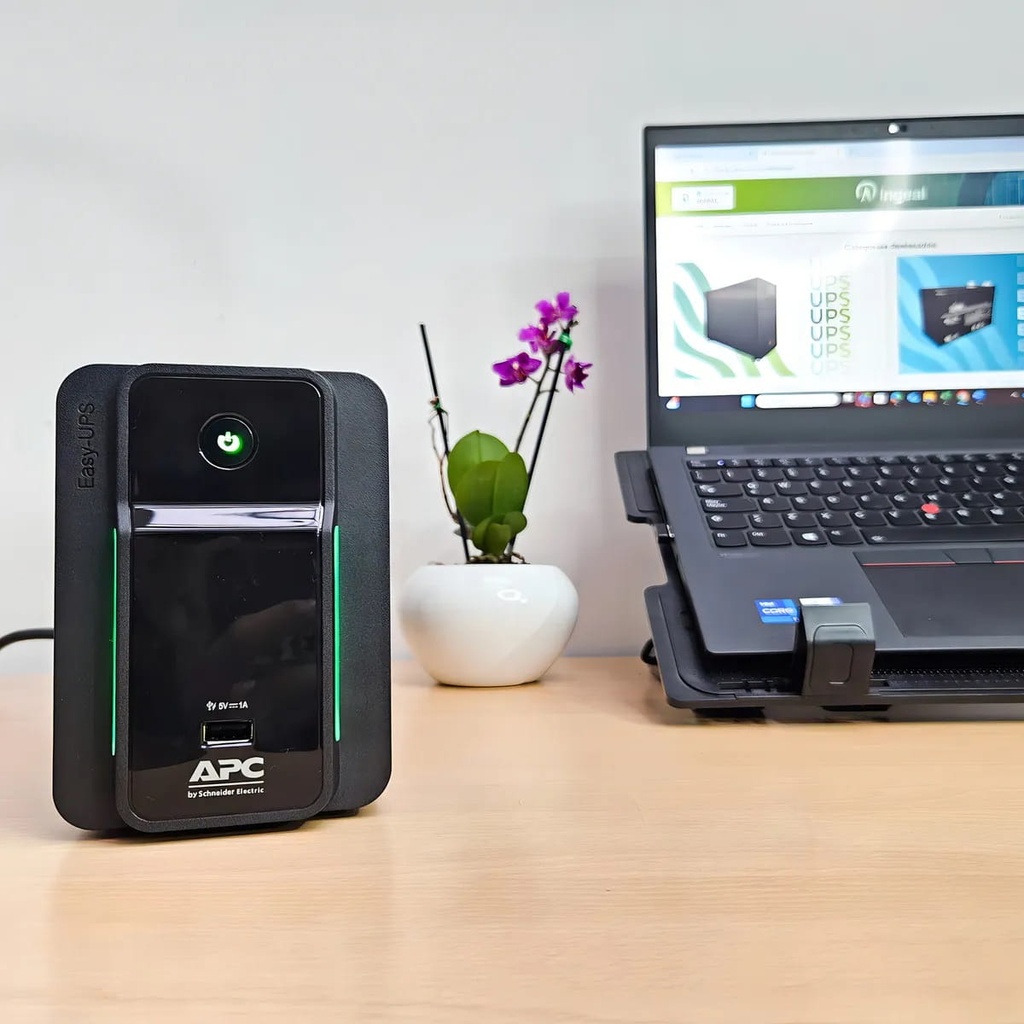 UPS APC BVX700LU-LM INTERACTIVO EASY UPS 700va/360w 4 TOMAS + 1USB