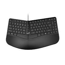 Teclado Genius Ergo KB-700 USB alambrico con reposamanos