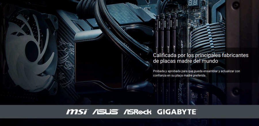 Memoria Ram Kingston 16Gb DDR5 FURY Beast 5600MT/s CL40 - 1.25 XMP KF556C40BB-16